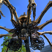 Arachnamech_3_card