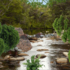 1526-suwannee_crossing_thumb