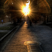 Sendero_luminoso_card