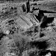 Ancient_alien_arboreal_artifact_alien_infrared_card