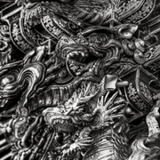 Wyrmwood__bw_multiply__card