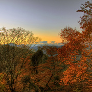 Fall_foibles_1_card