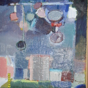 Snv30020_card