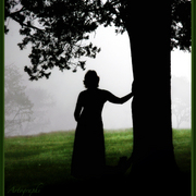 Sunday_morning_fog_card
