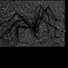 Binary_spider_thumb