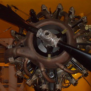 S5003764_card