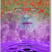 Flora_card