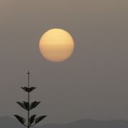 Chania_08_015_card