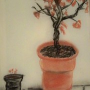 100_0287_card