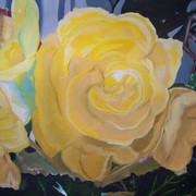 100_0278_card