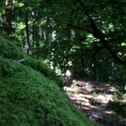 Img_1113_card