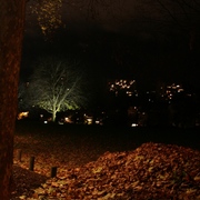 Img_1976_card