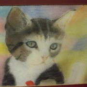 100_0532_card