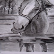 100_0108_card