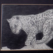 100_0106_card
