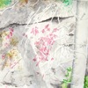Birch_and_ivy_thumb