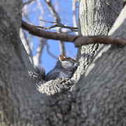 Img_0166_card
