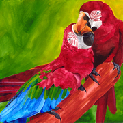 2macaw111_card