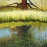 Broken_willow_-_thurlby_and_baston_fen_card