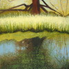 Broken_willow_-_thurlby_and_baston_fen_thumb