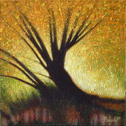 Low_sun_and_willow_-_thurlby_and_baston_fen_card