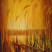 Woodwalton_fen_06__small__card