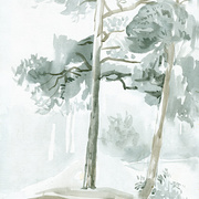 2007-misty_morning_above_troitskiy_pond_card