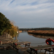 Img_0751_card