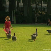 Img_7543_card