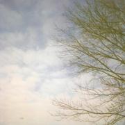 P2_card