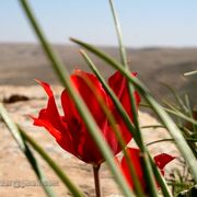 Img_2921__800x600__card