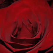 Dsc_0002_card