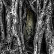 Entwined_theology_card