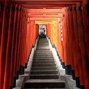 Torii_story_2_card