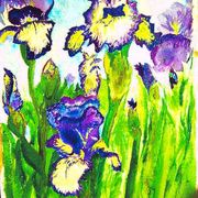 Irises_card