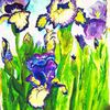 Irises_thumb