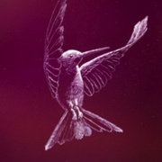 Hummingbird_scratboard_card