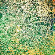 Sea-moss_card