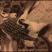 Babylonian_kiss__c__ukrainito_card