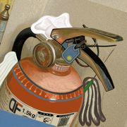 Fire_fighting_bird_card