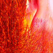Img_2180_card