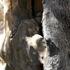 Img_3052_thumb