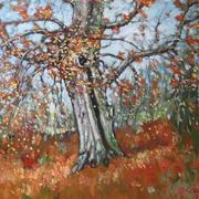 Img_0009__medium__card