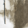 Progetto_per_un_arca_thumb