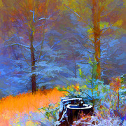 Spring_snow_card
