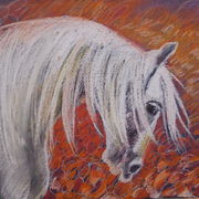 Dscf0367_card