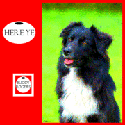 Dog_card