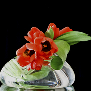 _mg_1564_card