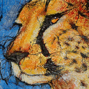 Cheetah300_card
