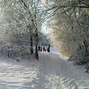 Dsc05142_card